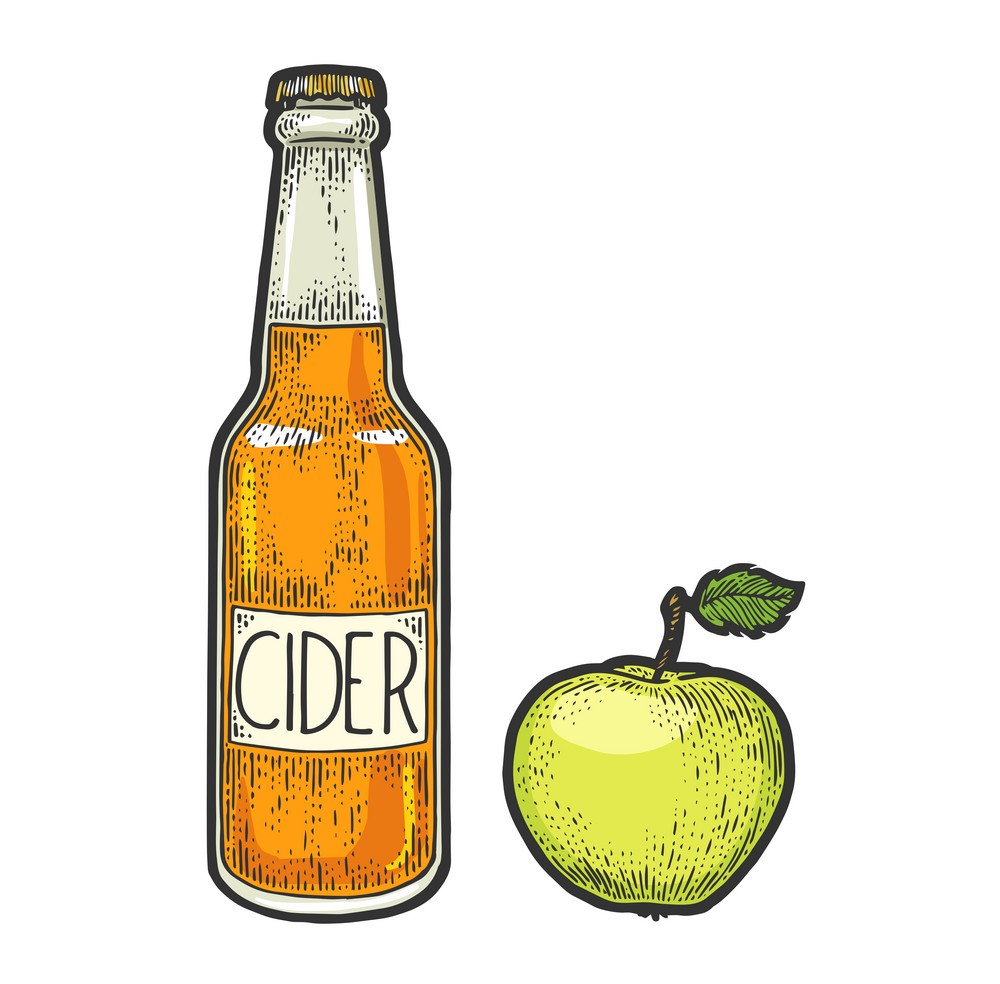 Cider Bottle Apple Sketch